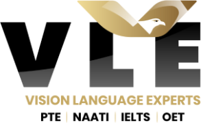 vision language india Logo