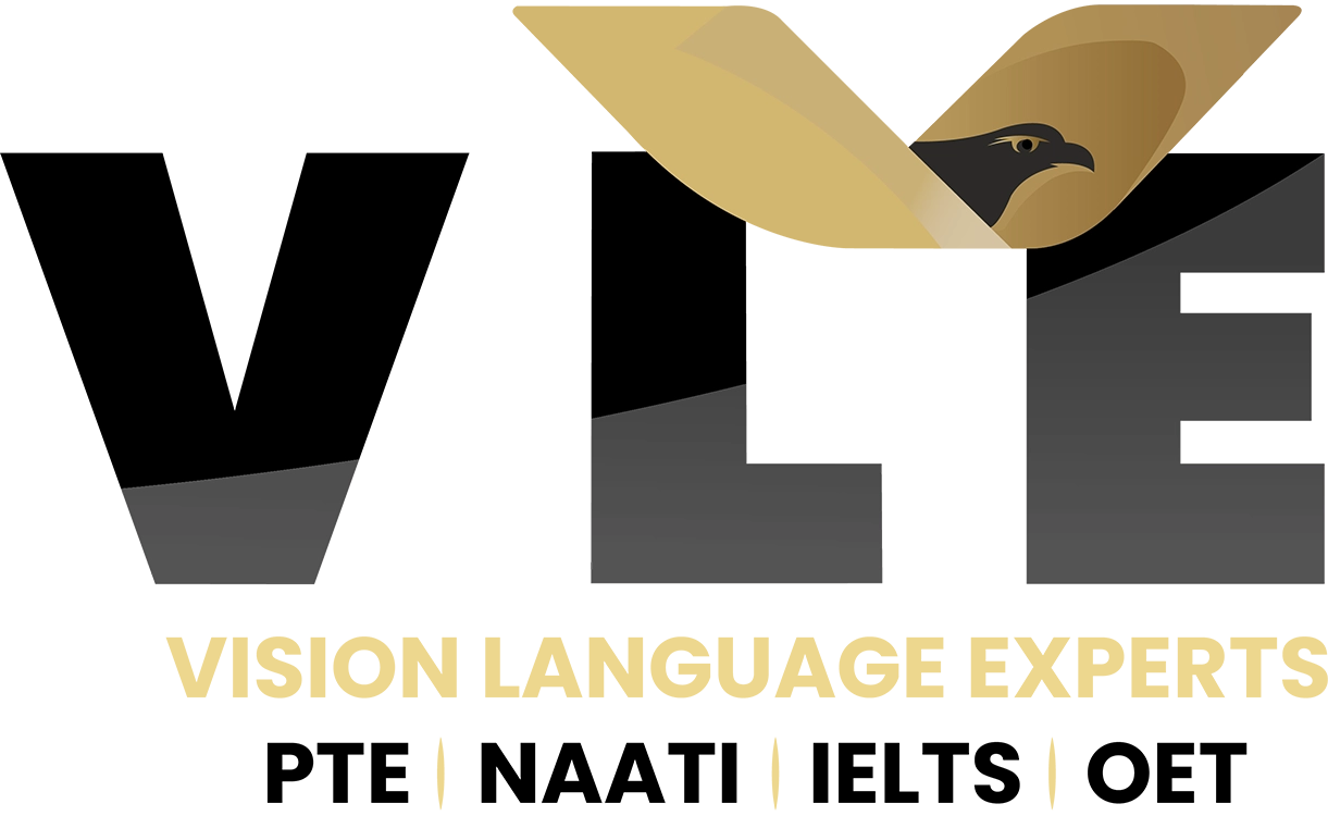vision language india Logo